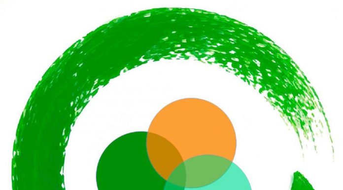 Cuentas Anuales 2019-2020