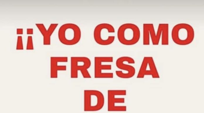 𝗕𝗼𝗶𝗰𝗼𝘁 𝗲𝗻 𝗔𝗹𝗲𝗺𝗮𝗻𝗶𝗮 𝗮 𝗹𝗮 𝗳𝗿𝗲𝘀𝗮 𝗱𝗲 𝗛𝘂𝗲𝗹𝘃𝗮