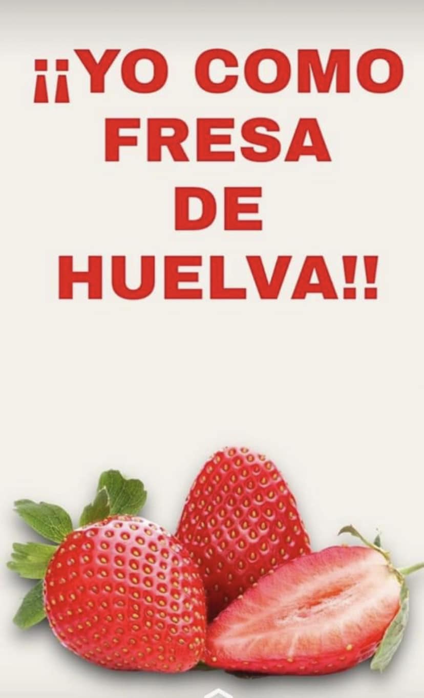 fresa